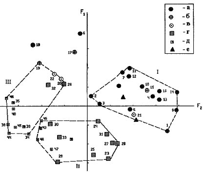 Рис. IV-4. Дифференциация групп среднеевропейского одонтологического типа в двух- факторном пространстве I, II, III - кластеры, объединяющие группы: